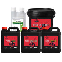 Lawn Tips Autumn Bundle