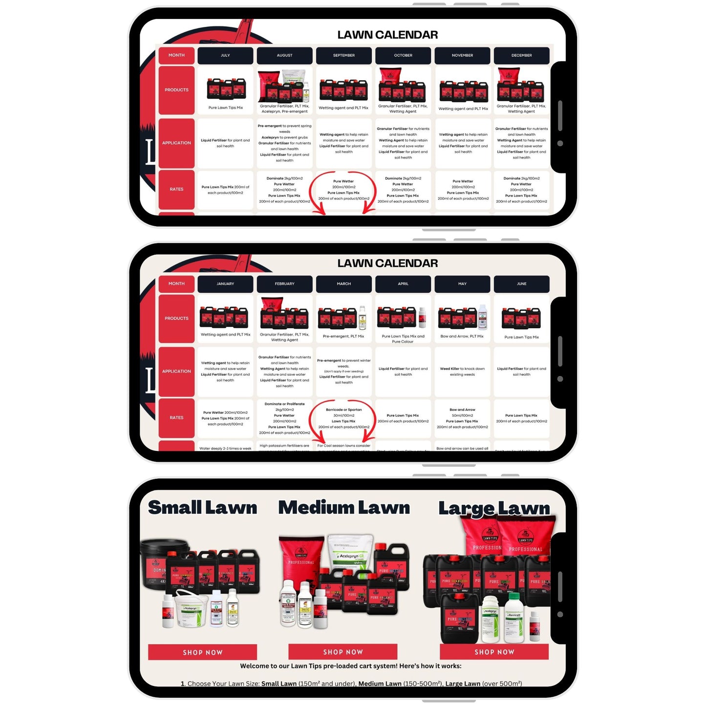 Lawn Tips month-by-month lawn care calendar