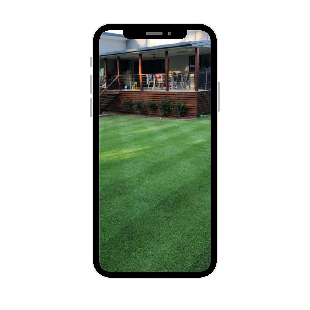 Lawn Tips zoysia lawn care plan digital download