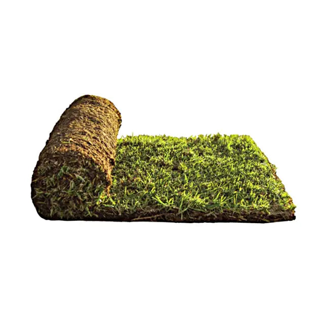 Roll of Eureka kikuyu turf