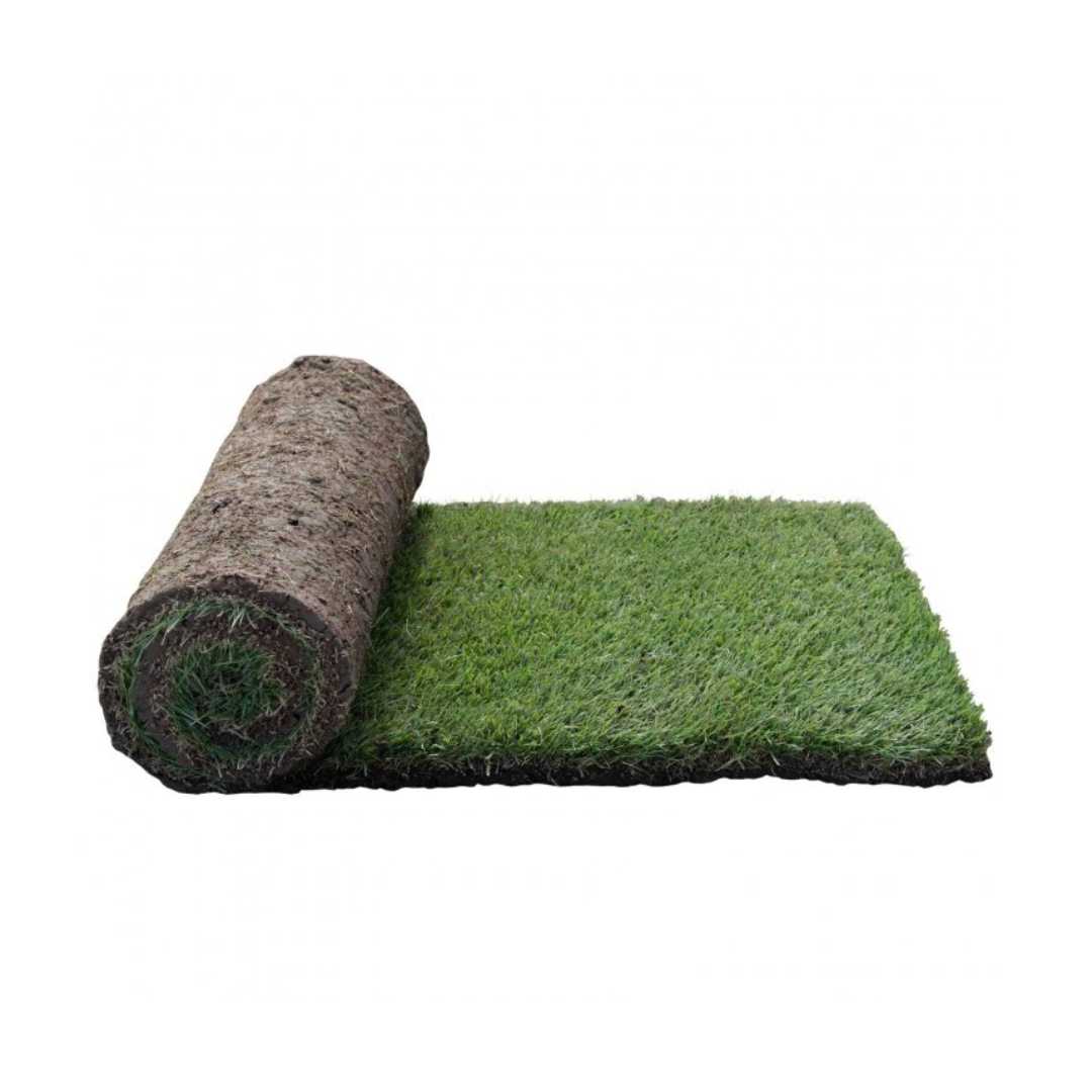 Roll of Sir Grange zoysia turf