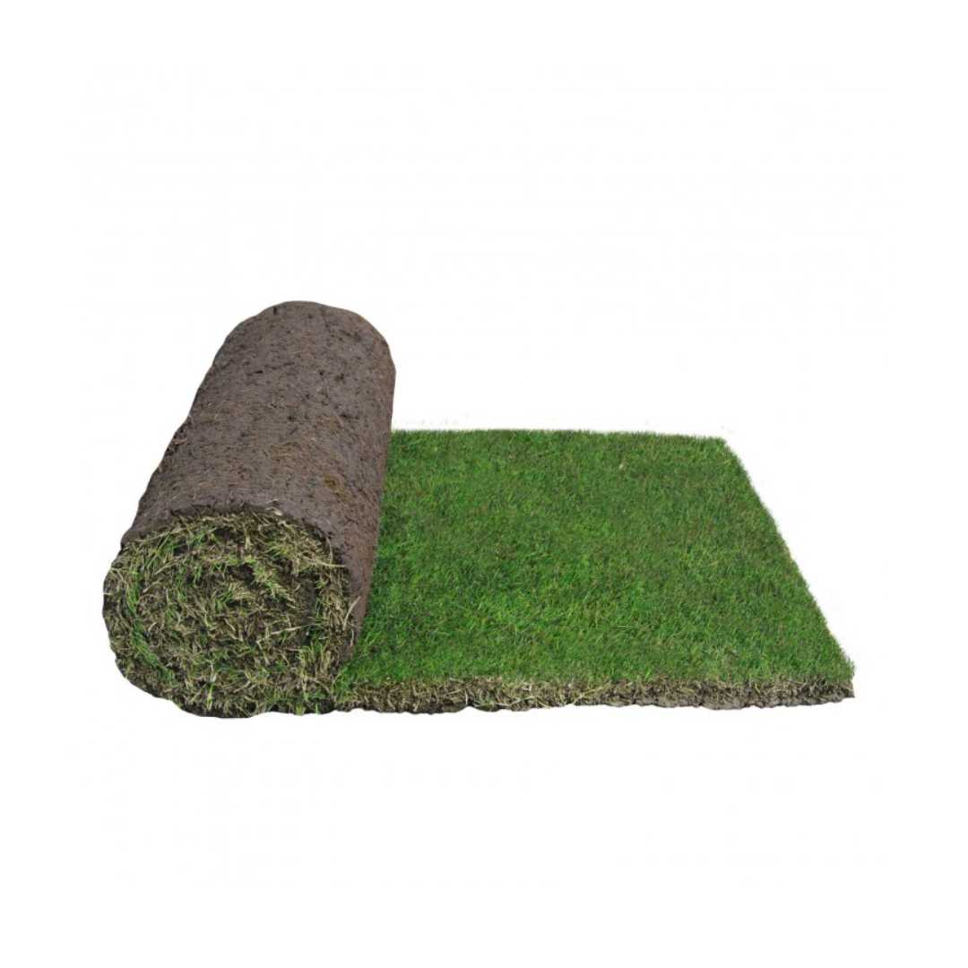 Roll of TifTuf bermuda turf