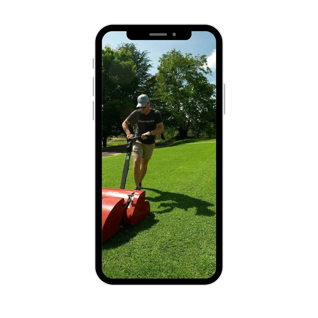 Lawn Tips kikuyu lawn care plan digital download