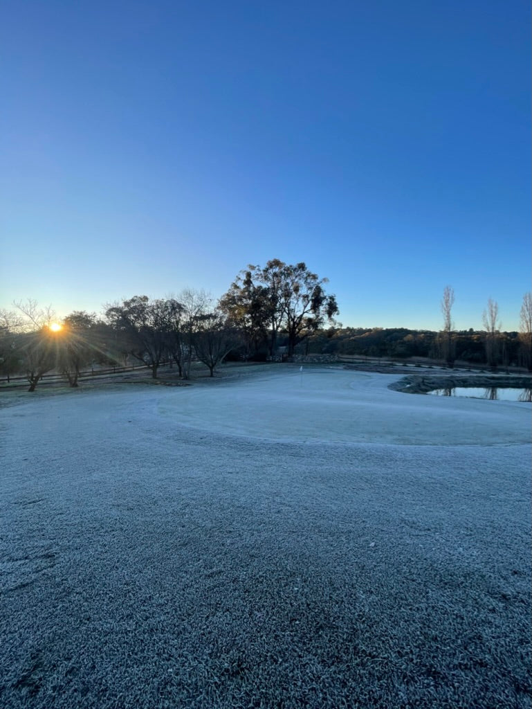 frost lawn