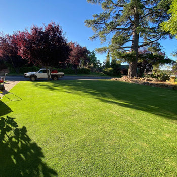 Hand Watering Green