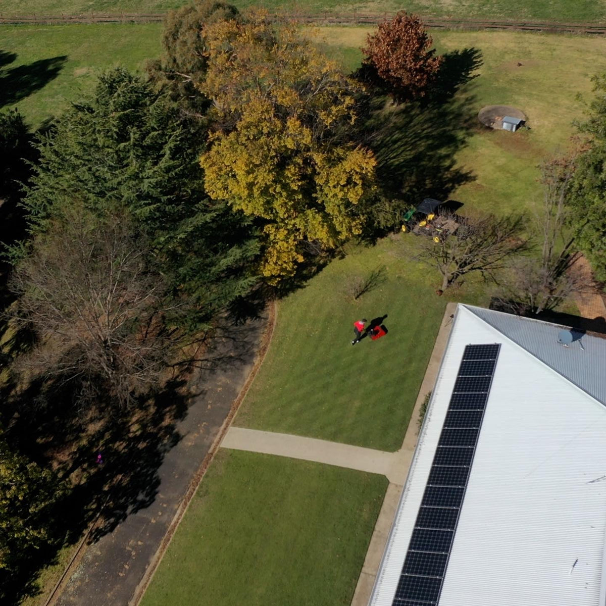 Mowing drone