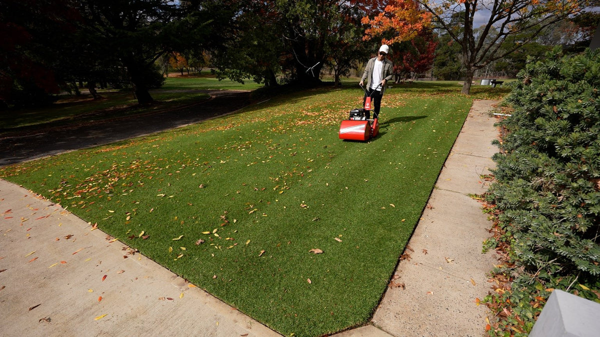 Mowing Kikuyu Lawn