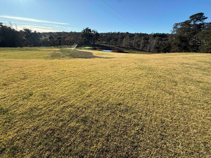 frost lawn