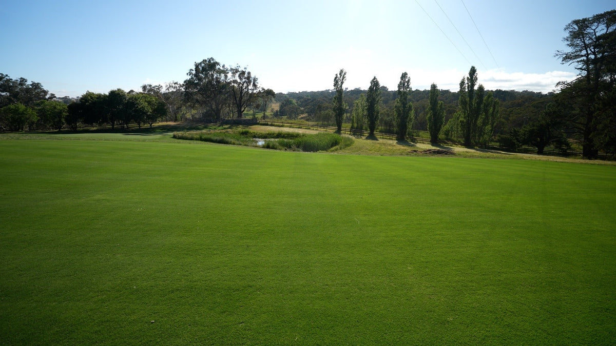 Fairway