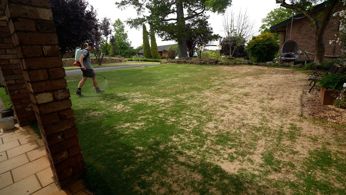 Hand Watering Green