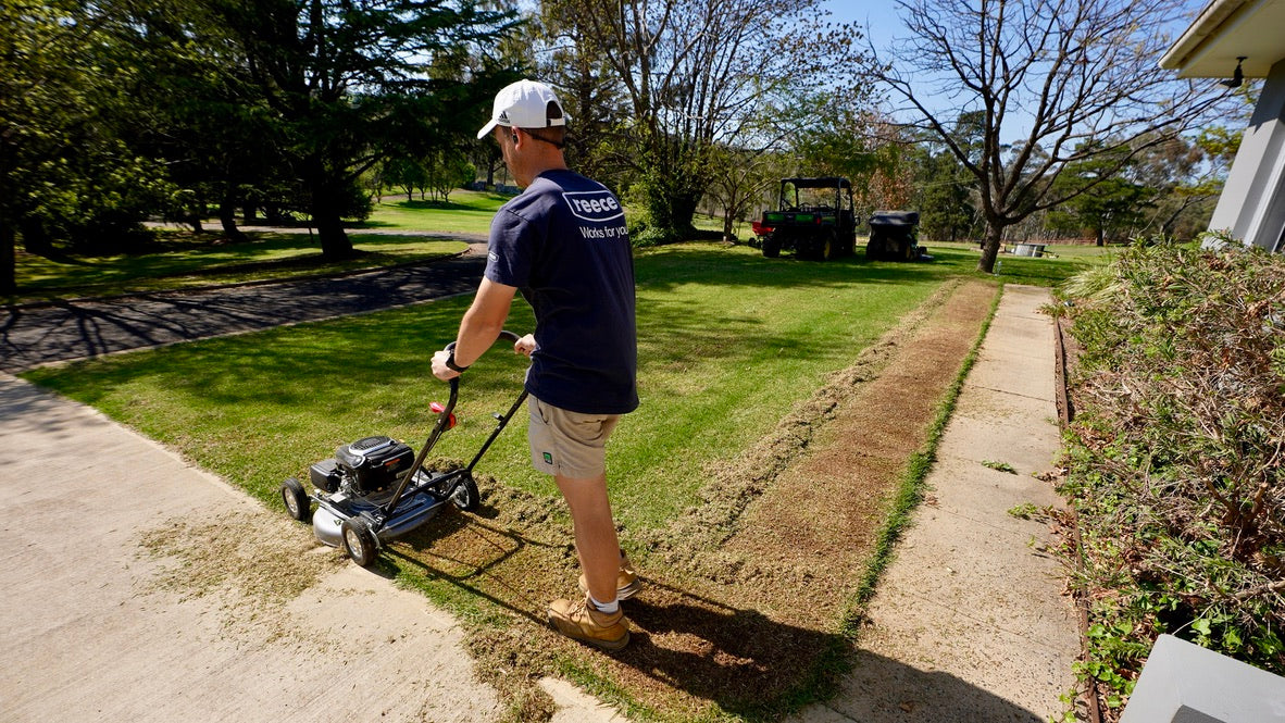 Scalping Lawn