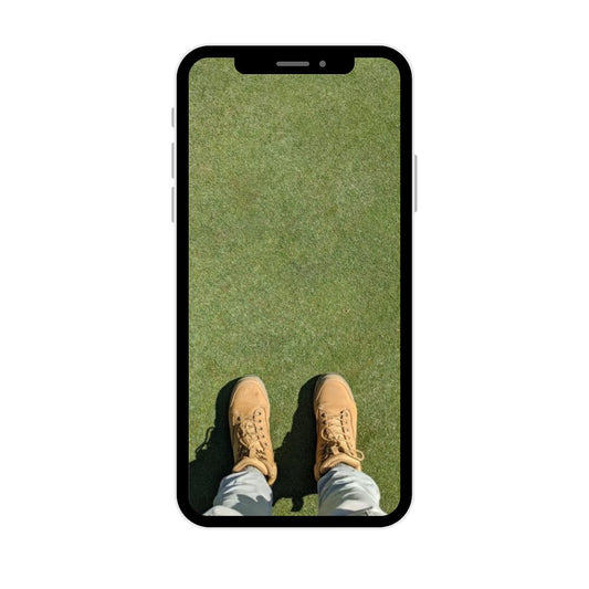 Lawn Tips couch lawn care plan digital download