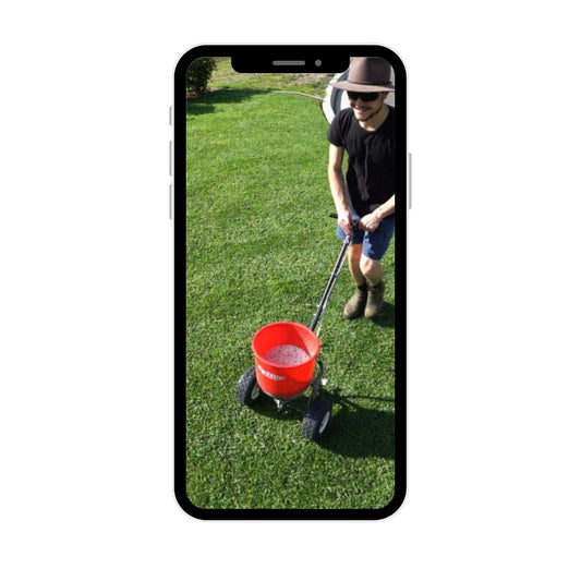 Lawn Tips kikuyu lawn care plan digital download