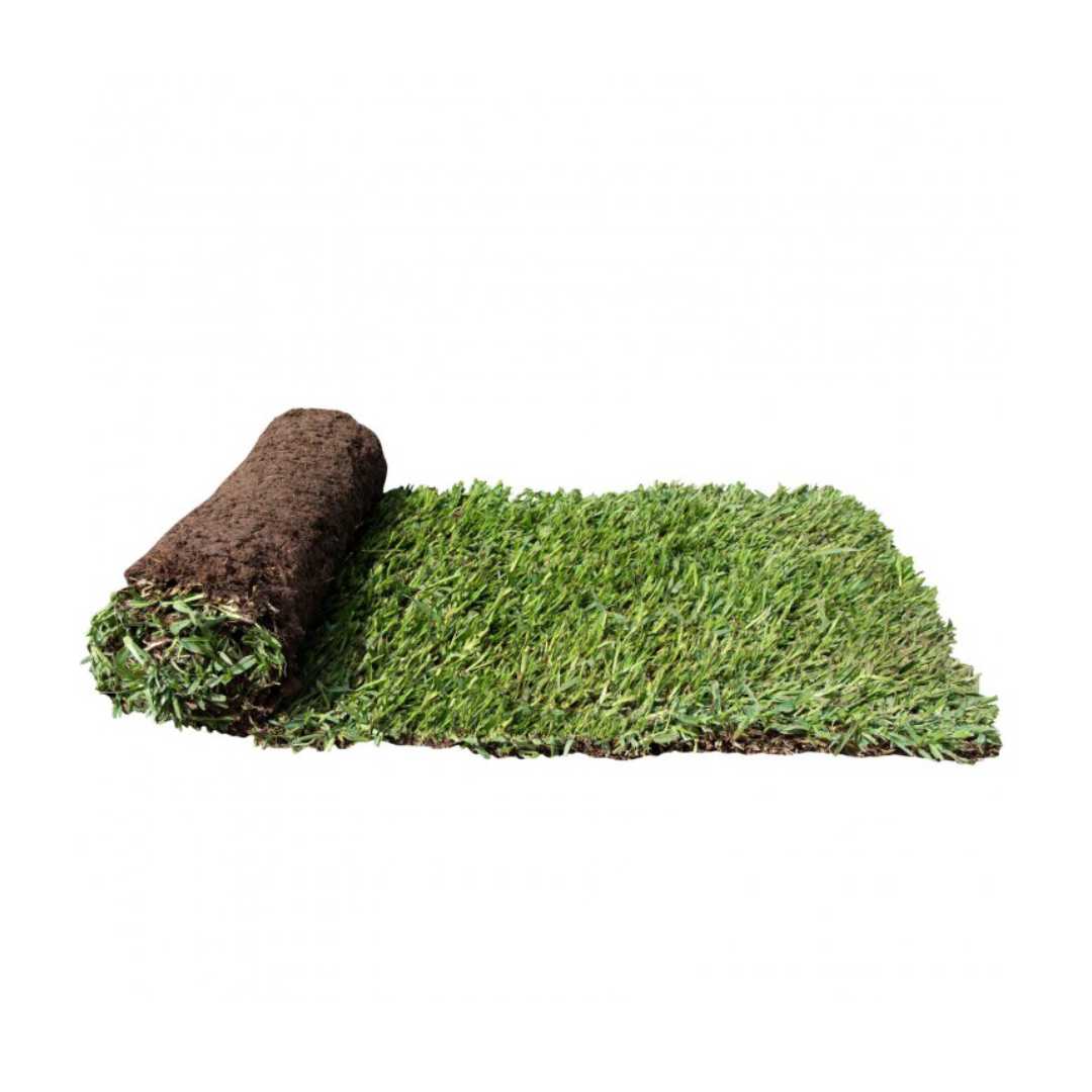 Roll of Sir Walter DNA Certified buffalo turf