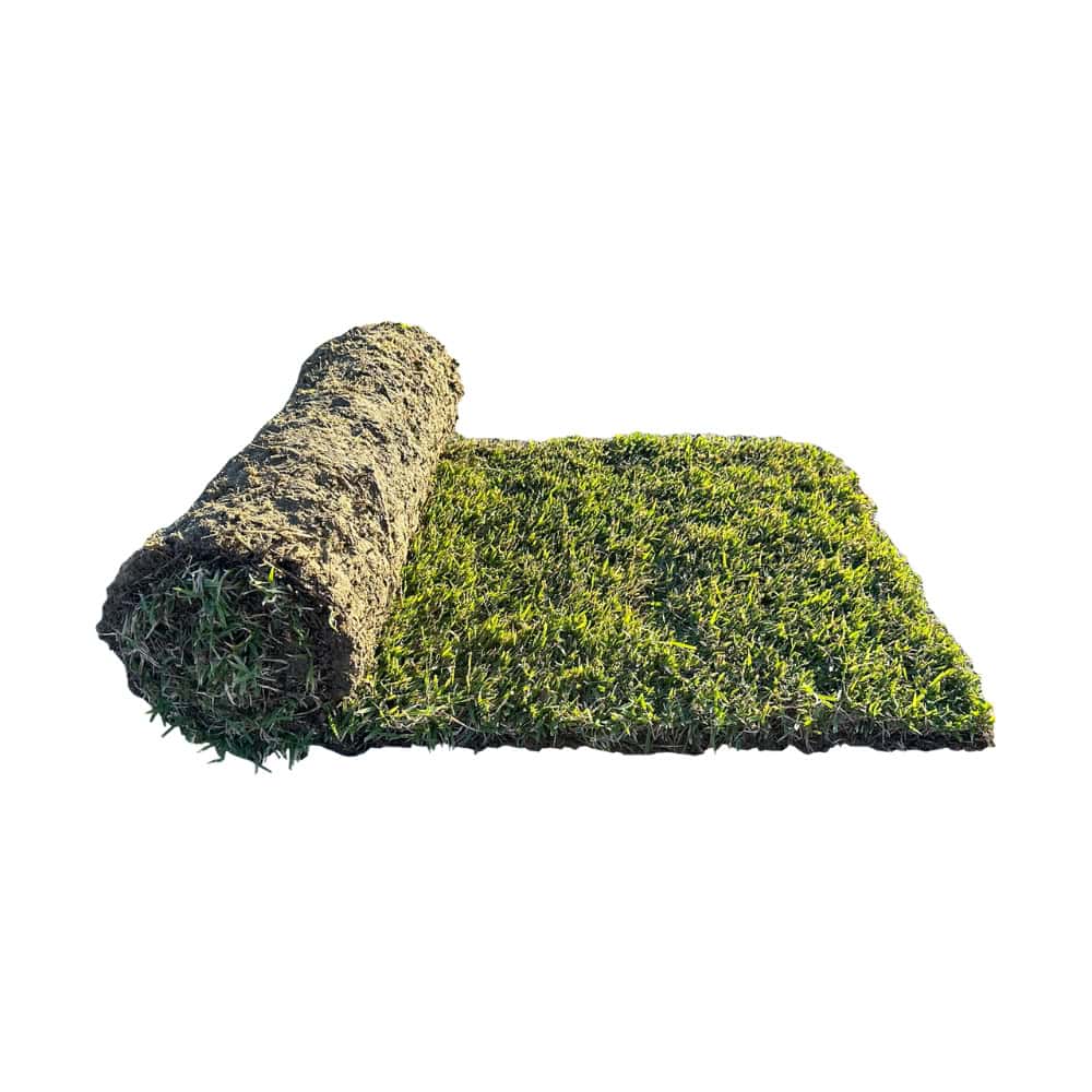 Roll of Zoysia Australis turf